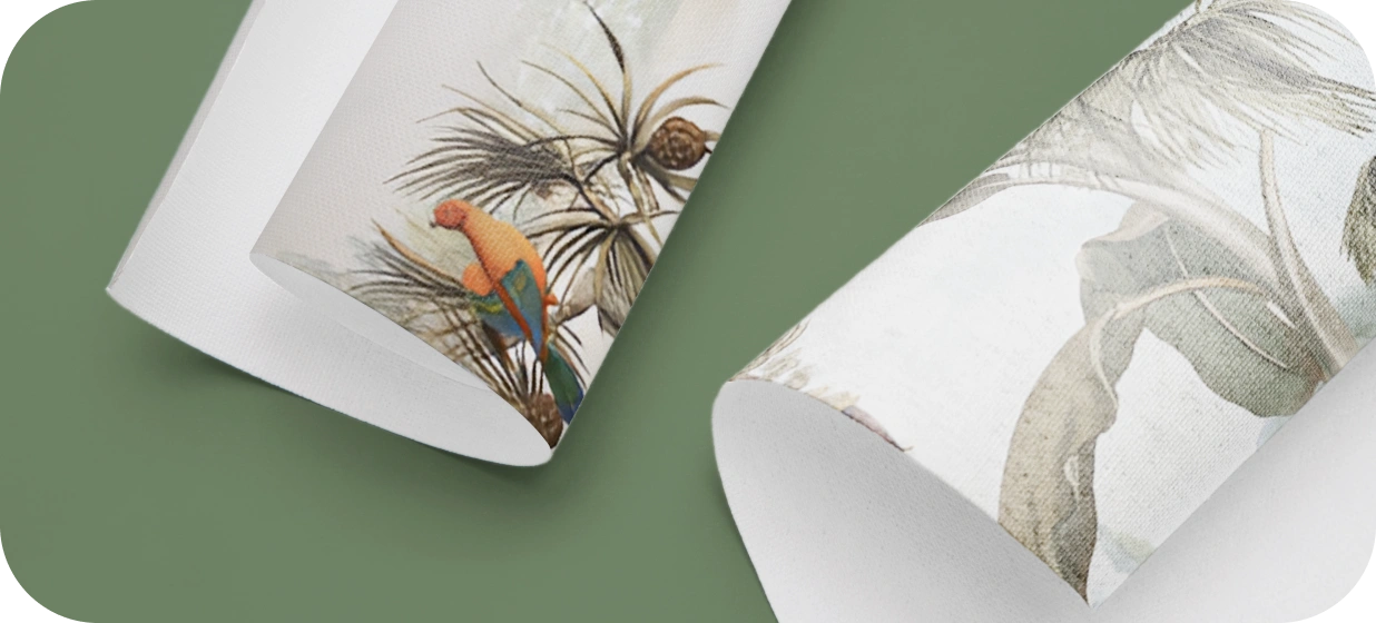 Before and After Wall Condition jungle Wallpaper